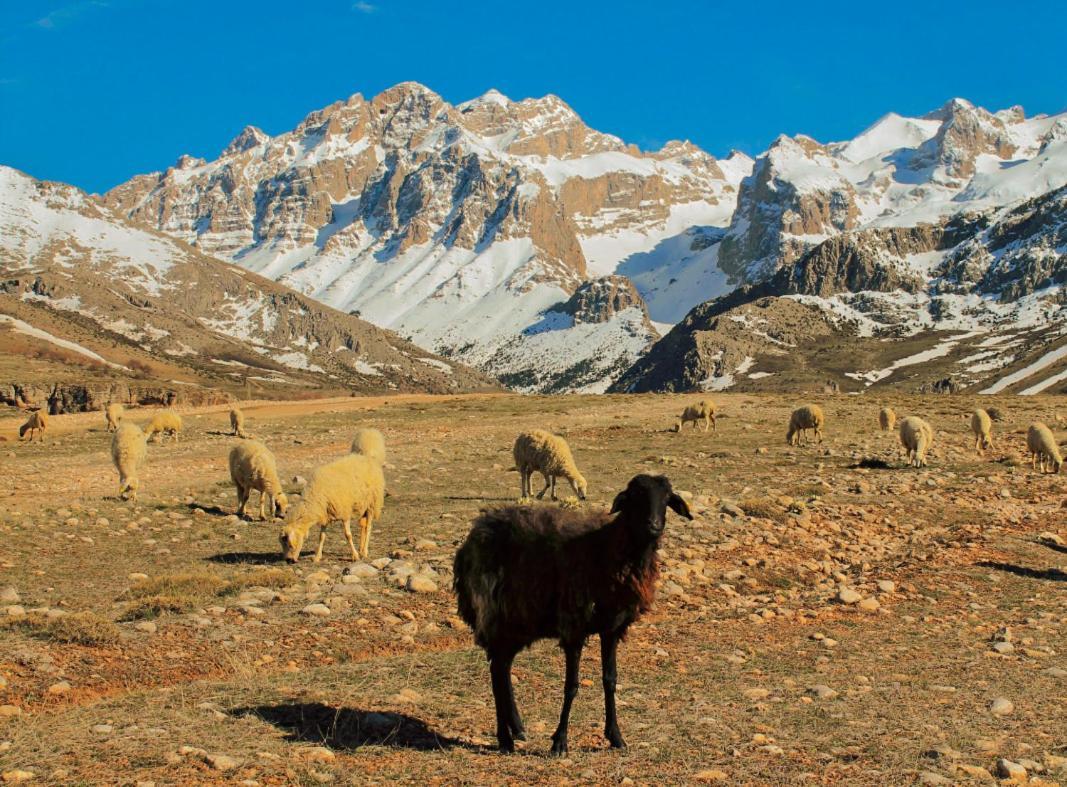 Aladaglar Mountain Hostel Cukurbag  Dış mekan fotoğraf