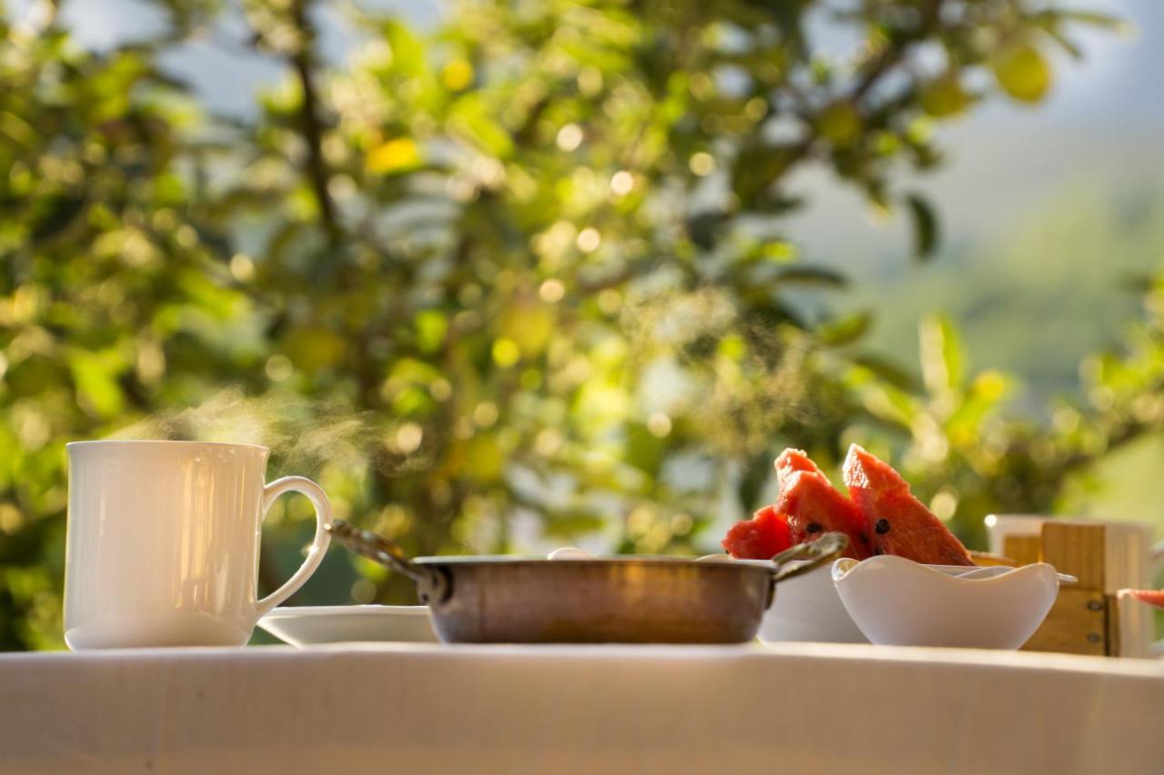 Aladaglar Mountain Hostel Cukurbag  Dış mekan fotoğraf